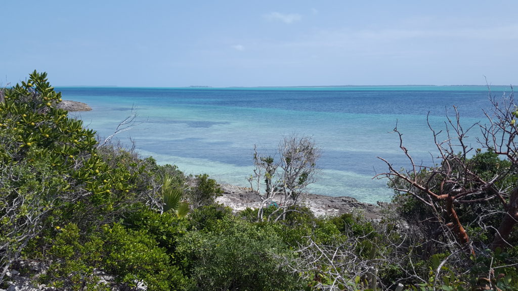 Chub Cay and Frazers Hog Cay Anchorage, Berry Islands