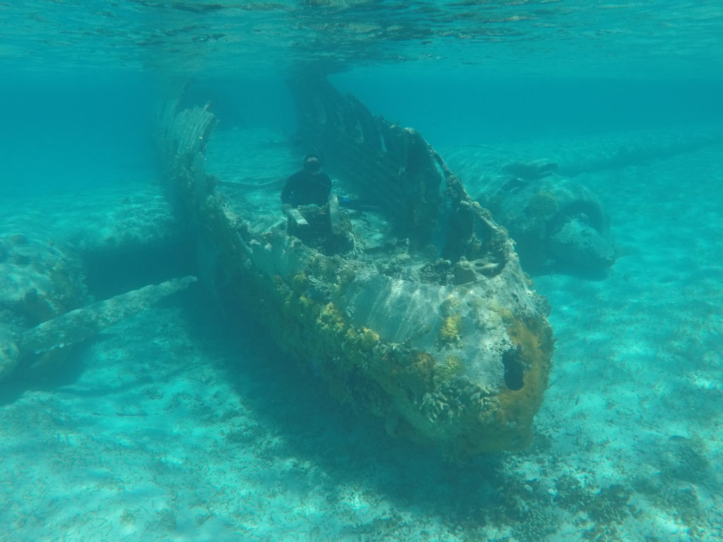 March 31, 2018 - Allens (Allans) Cay and Normans Cay, Northern Exumas